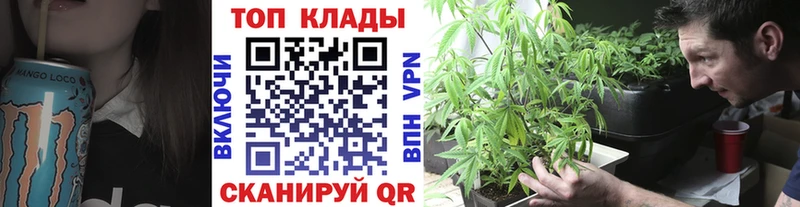 Купить закладку Дмитров Alpha PVP МАРИХУАНА Меф мяу мяу Гашиш