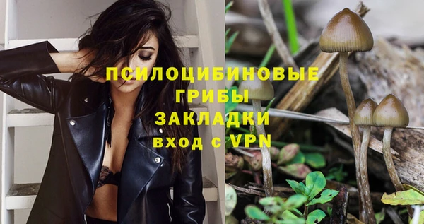 сатива Верхний Тагил