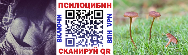 купить наркотики сайты  Дмитров  Галлюциногенные грибы ЛСД 