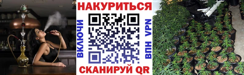Шишки марихуана Amnesia  Дмитров 